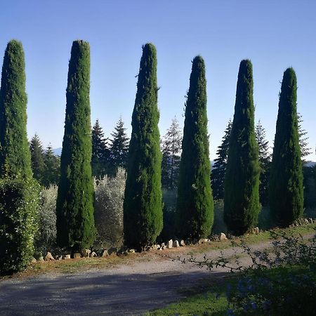Casa Marconi Villa Vetriano Luaran gambar