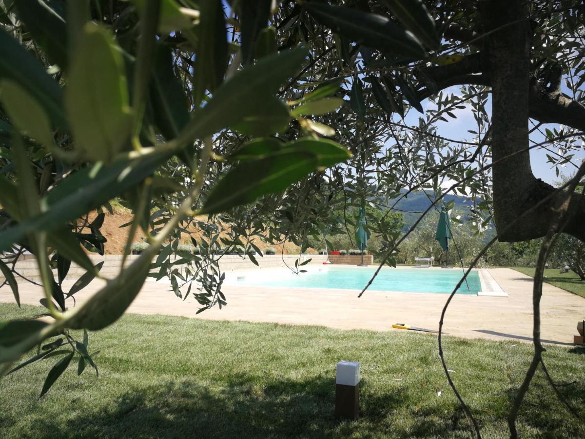 Casa Marconi Villa Vetriano Luaran gambar