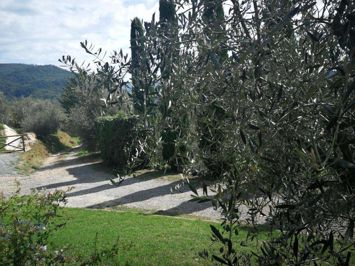 Casa Marconi Villa Vetriano Luaran gambar
